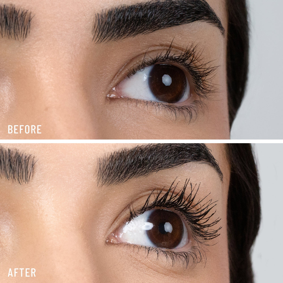 Lash Confidence Mascara - LYS Beauty