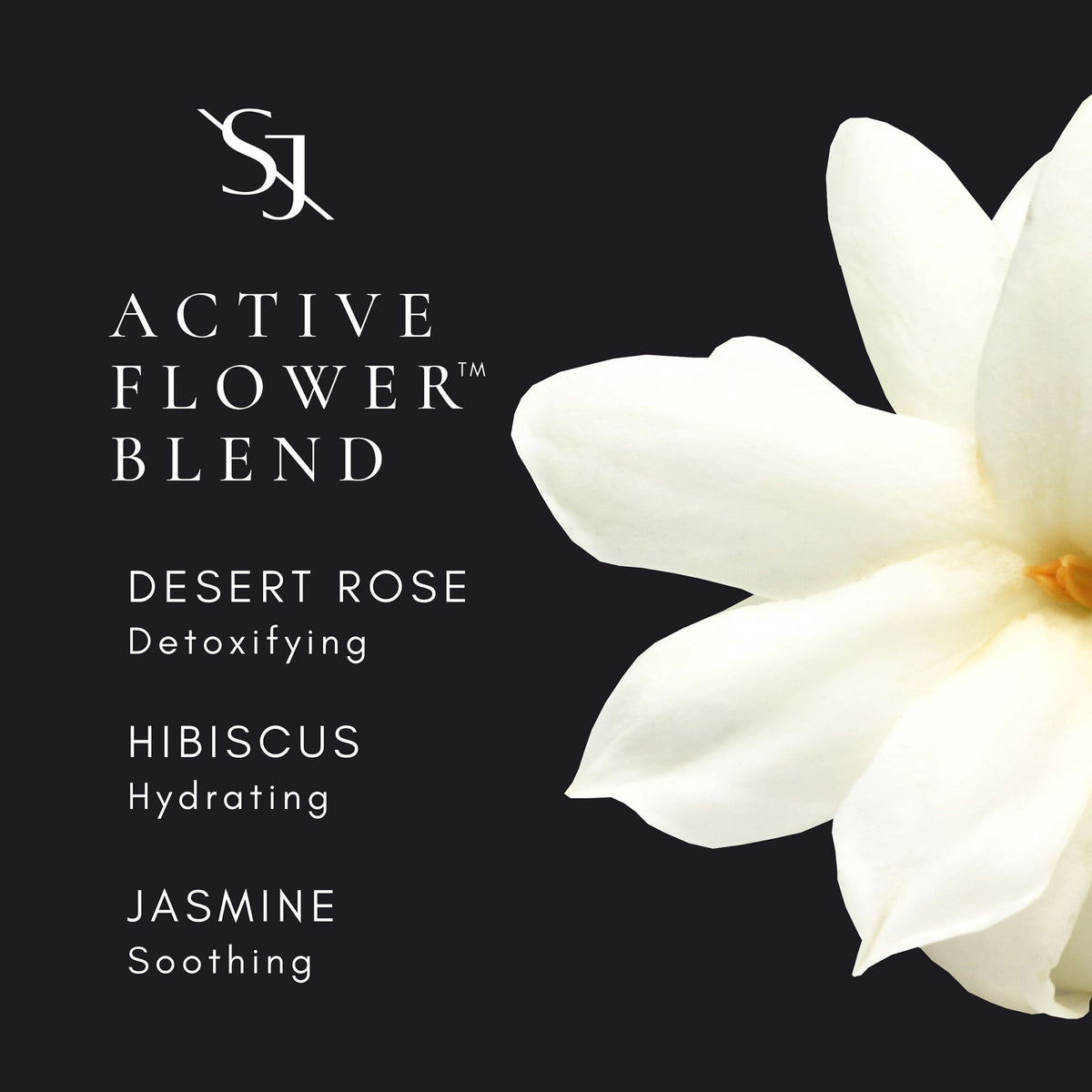 A luxuriously clean mineral sunscreen with SPF 30 protection that helps to minimize the look of pores with zero white cast.