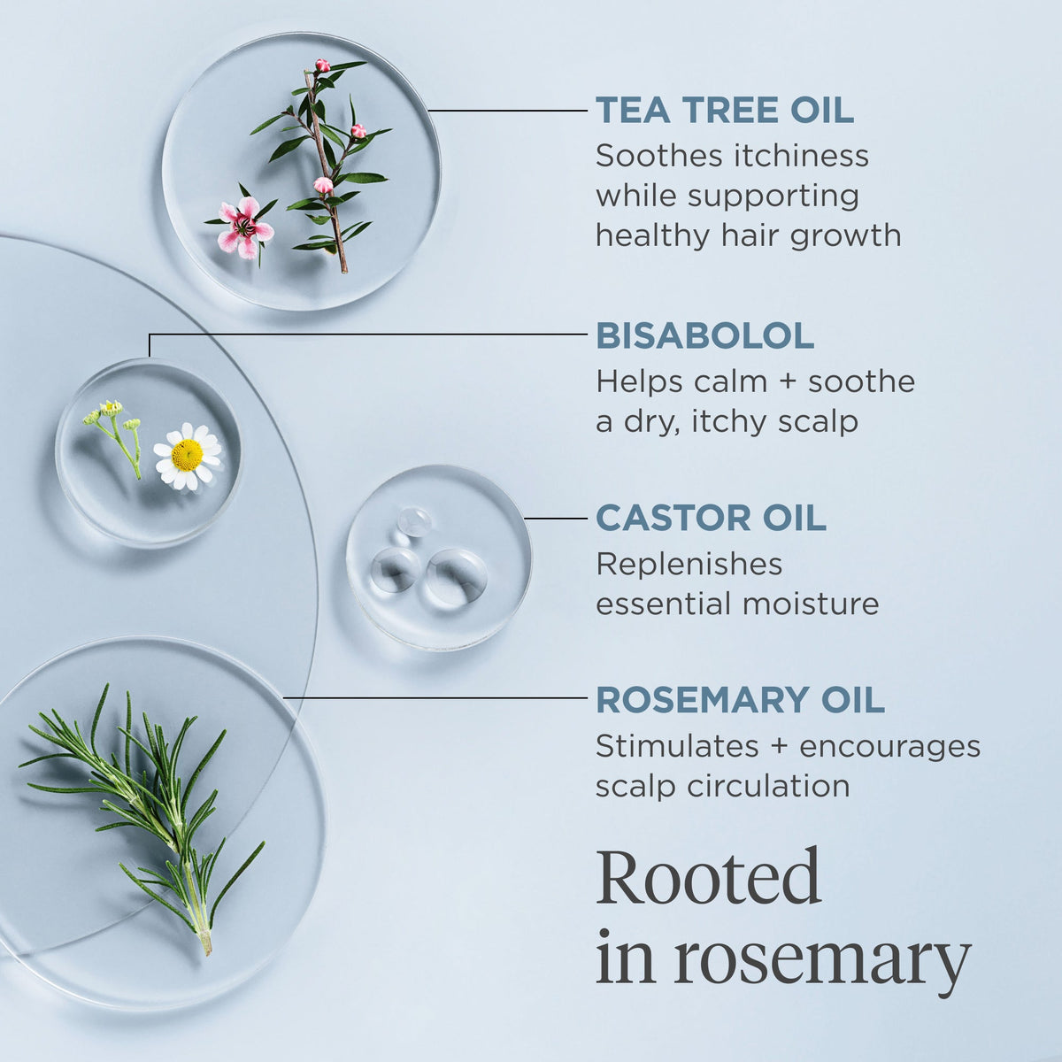 Scalp Revival™ Rosemary Pre-Wash Oil for Hair and Scalp - Briogeo