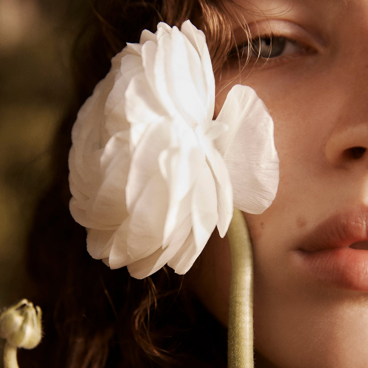 Sun-Tzu Functional Fragrance - bütün