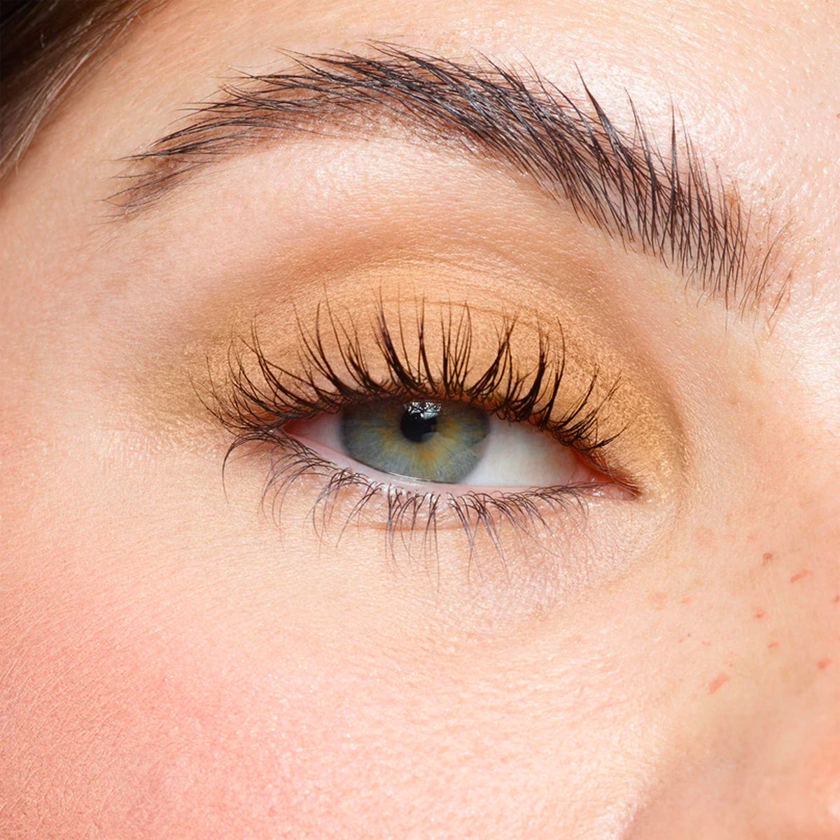 Magnetic Matte Eye Color