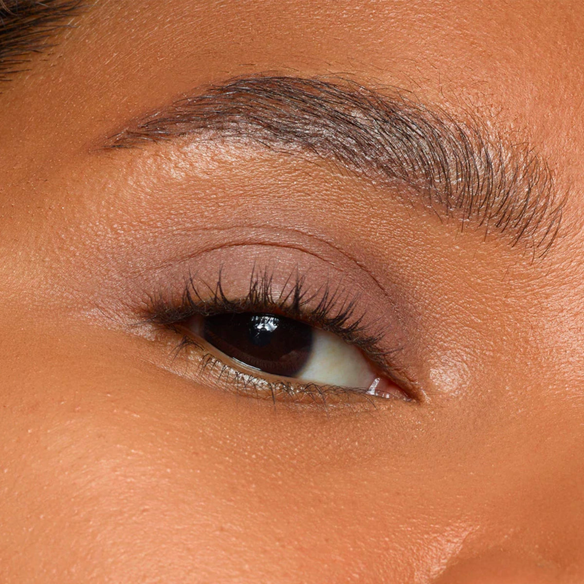 Magnetic Matte Eye Color
