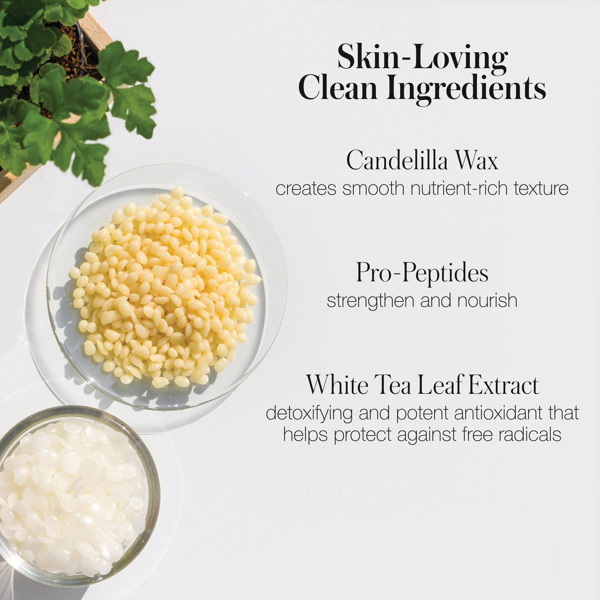 Straight Up Volumizing Peptide Mascara - RMS Beauty