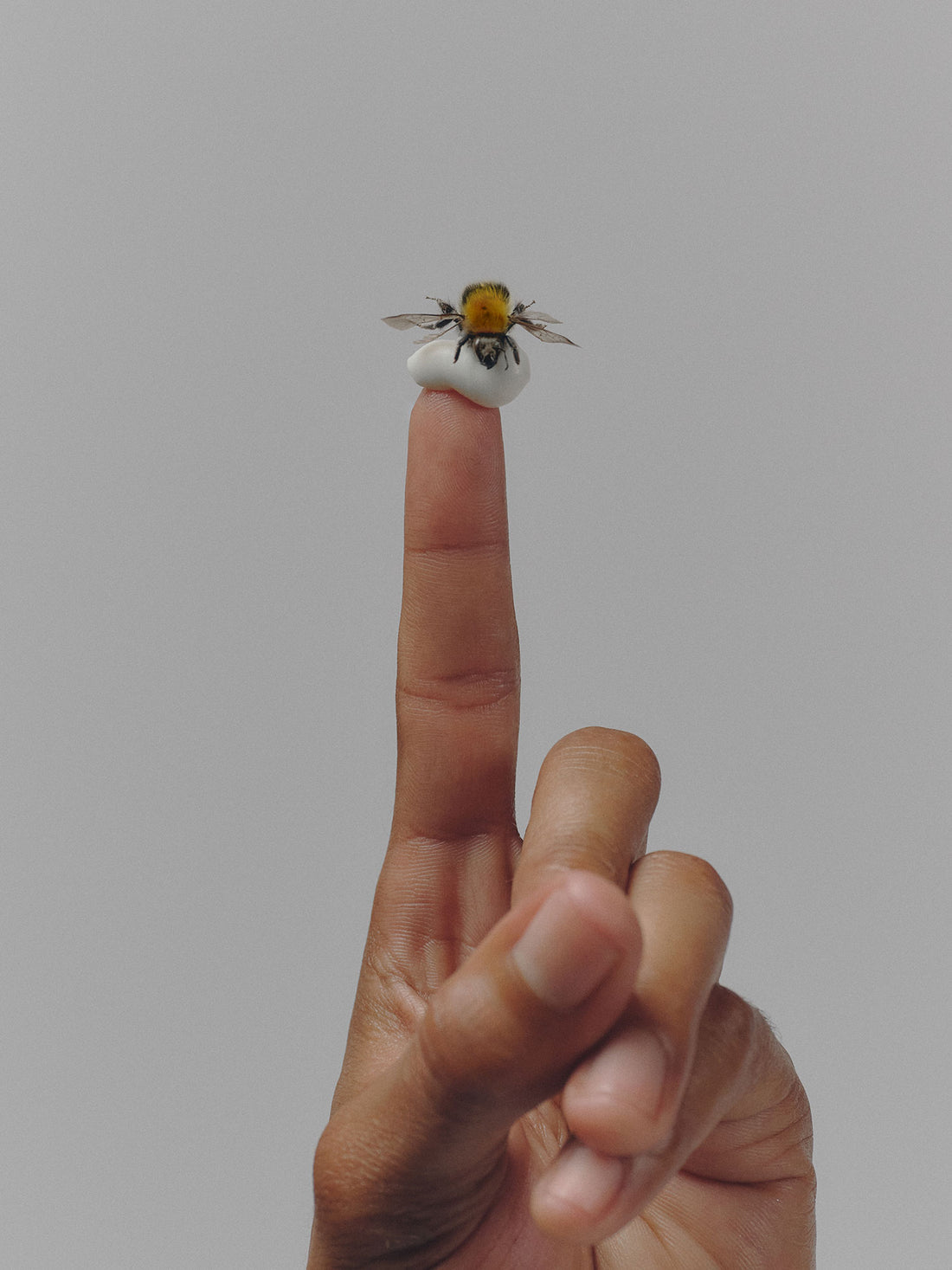 Manuka Honey Rich Cream