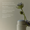 Microbiome Balancing Deodorant - Oak Essentials