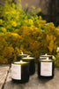 Golden Pollinator Candle