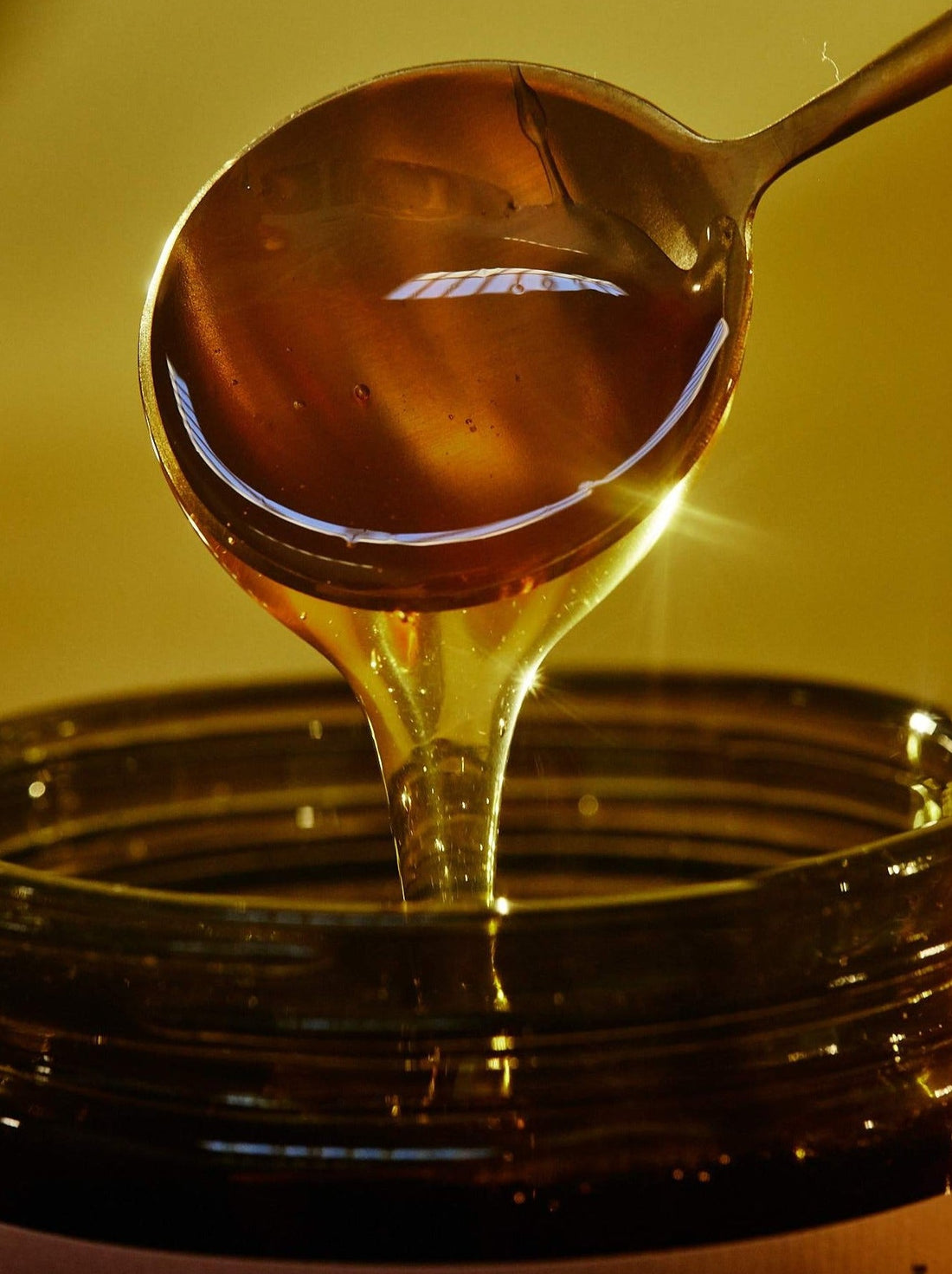 CA Native Mountain Wildflower Honey