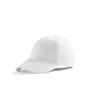 ALLEL Baseball Hat