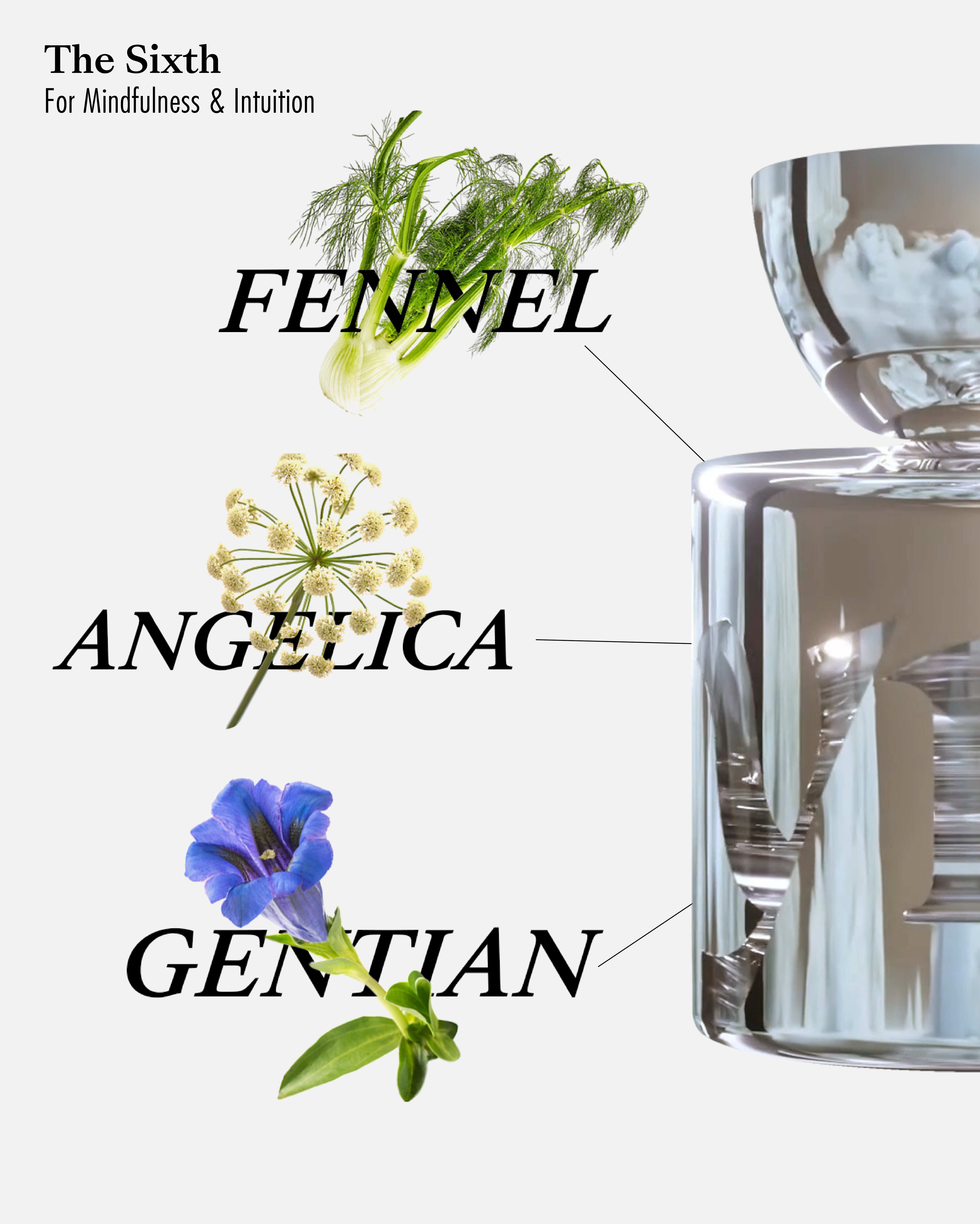 The Sixth: Eau de Parfum for Mindfulness & Intuition