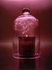 Jasmine Damask Rose Candle