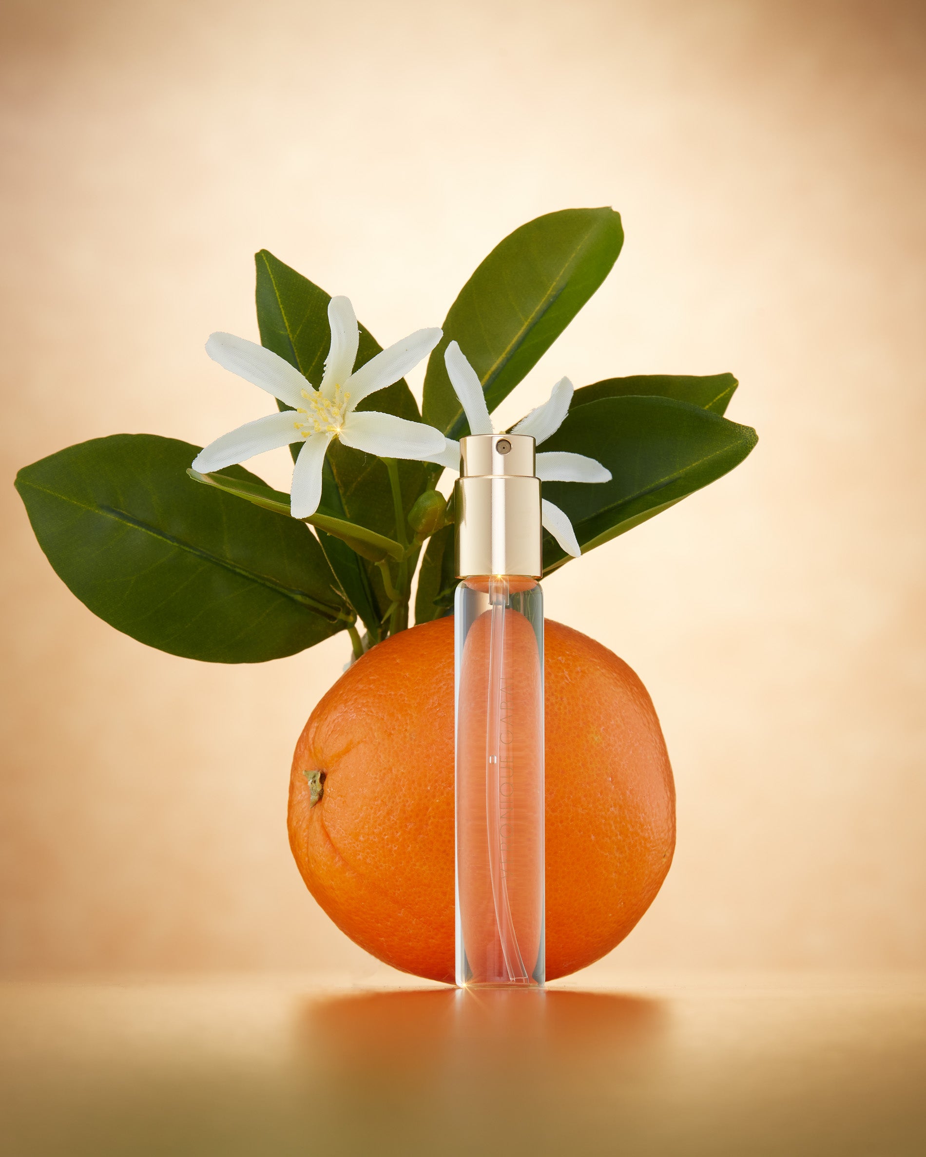 10ml Coffret -The Blooms