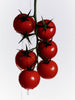 Heirloom Tomato Surface Cleaner