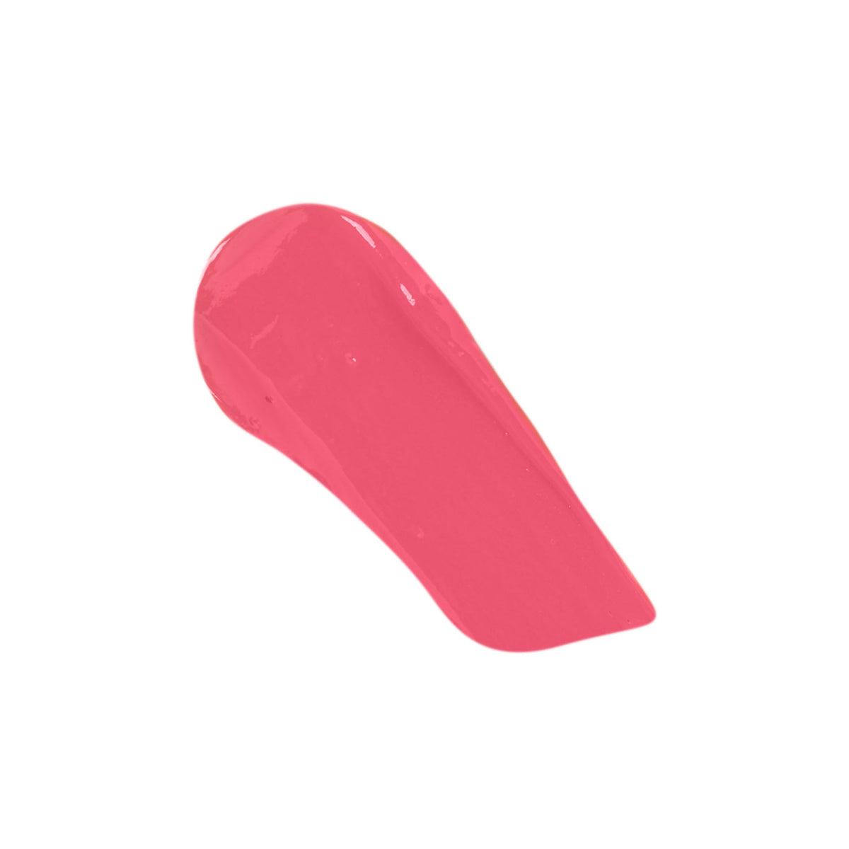 Bold Aspirations Liquid Lipstick - PDL Cosmetics