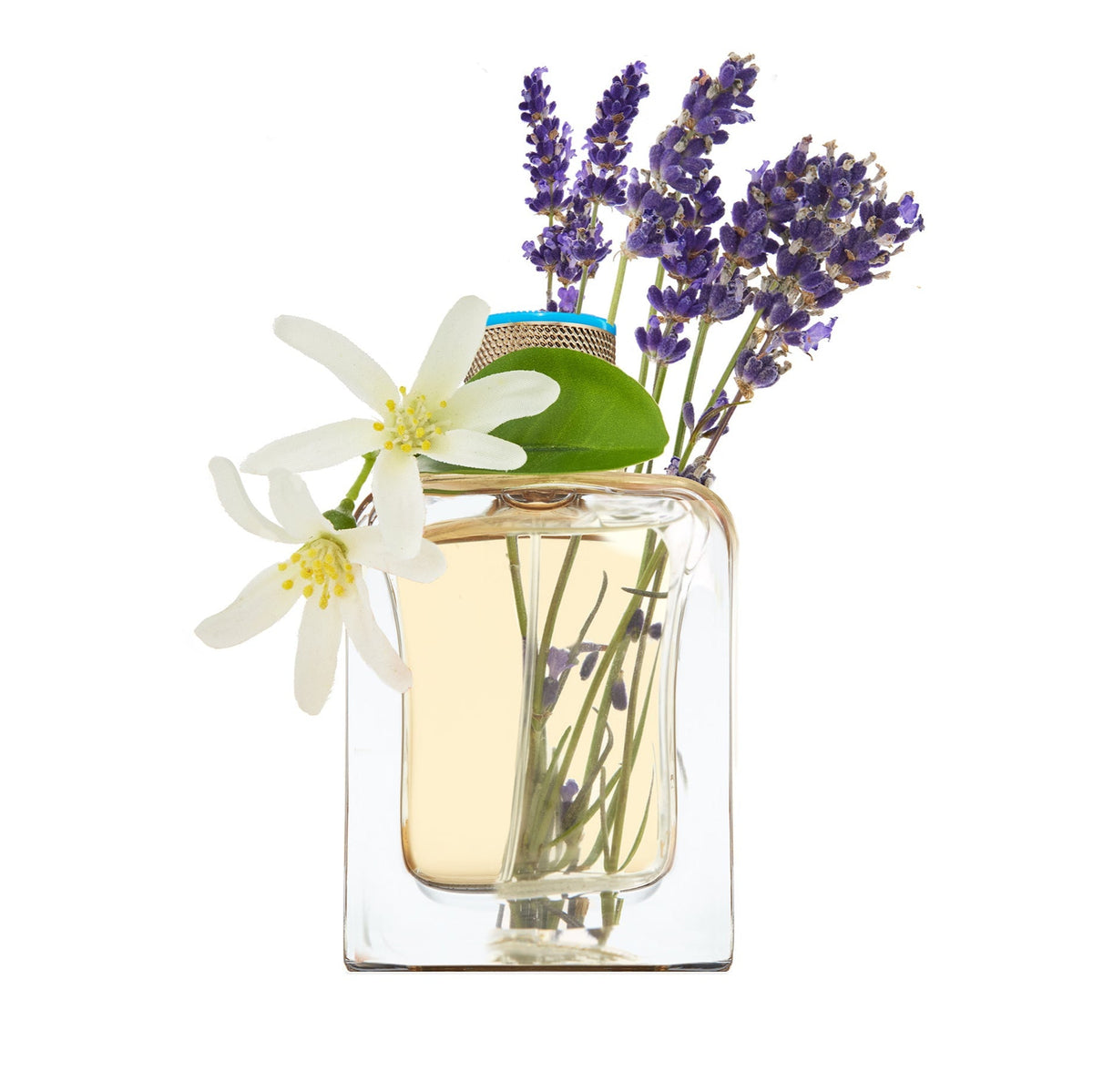 Eau d'Azur Eau de Parfum - Veronique Gabai