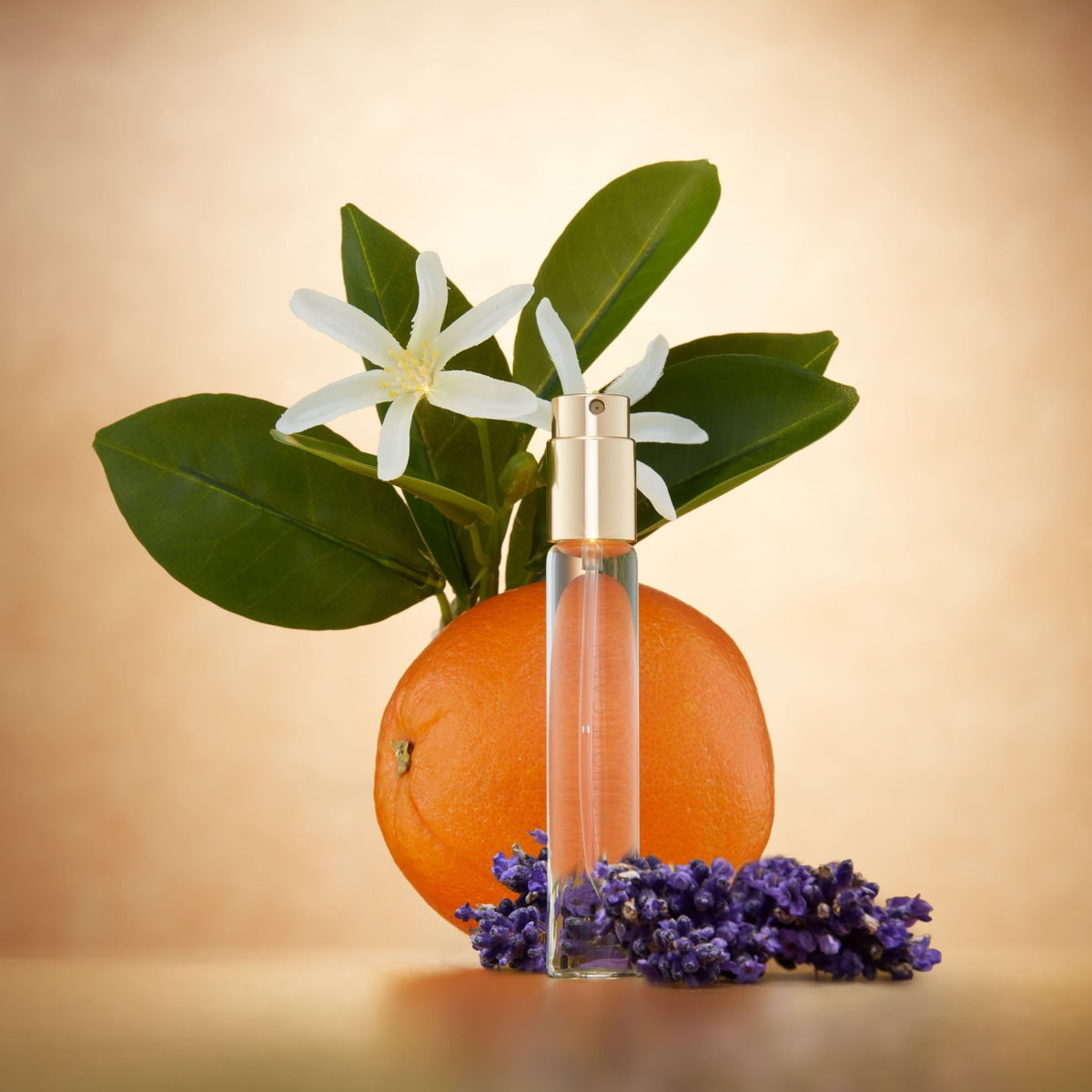 Eau d'Azur Eau de Parfum - Veronique Gabai