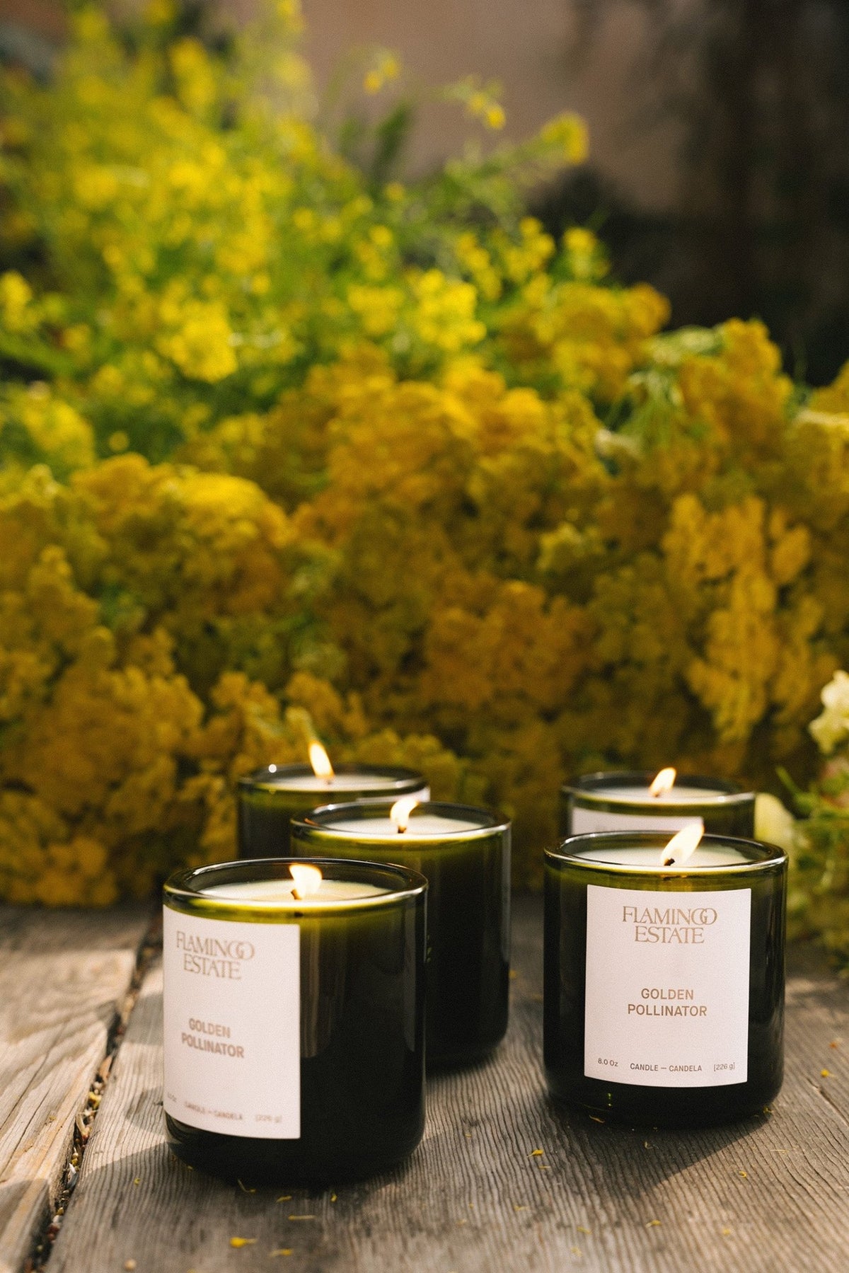 Golden Pollinator Candle - Thirteen LuneFlamingo EstateGolden Pollinator Candle