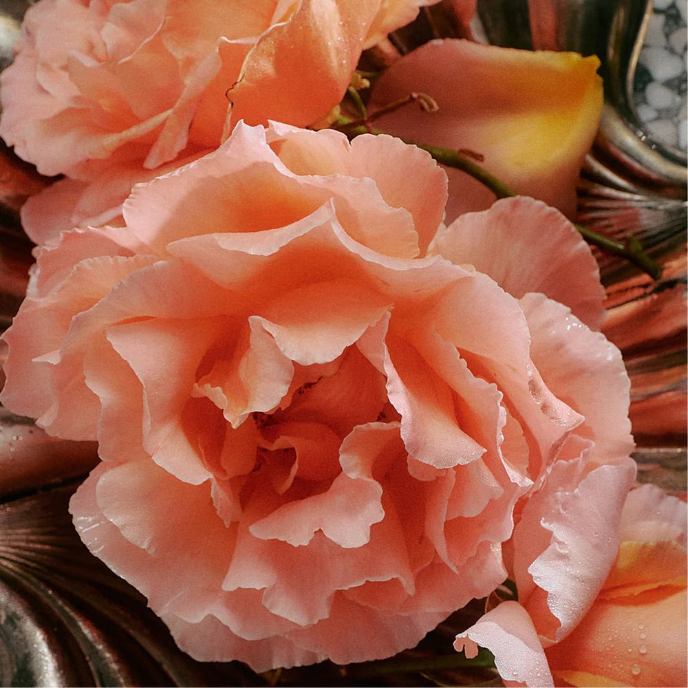 Jasmine Damask Rose Soap Brick - Thirteen LuneFlamingo EstateFLAM-JDRSB-50950Jasmine Damask Rose Soap Brick