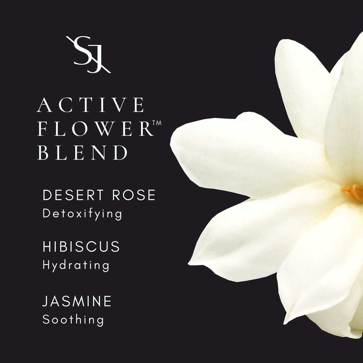 Luxury Sun Ritual - Pore Smoothing SPF 30 Sunscreen - Saint Jane Beauty