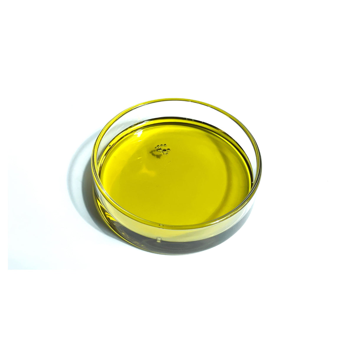 Revitalize Natural Hair Growth Oil - Rthvi