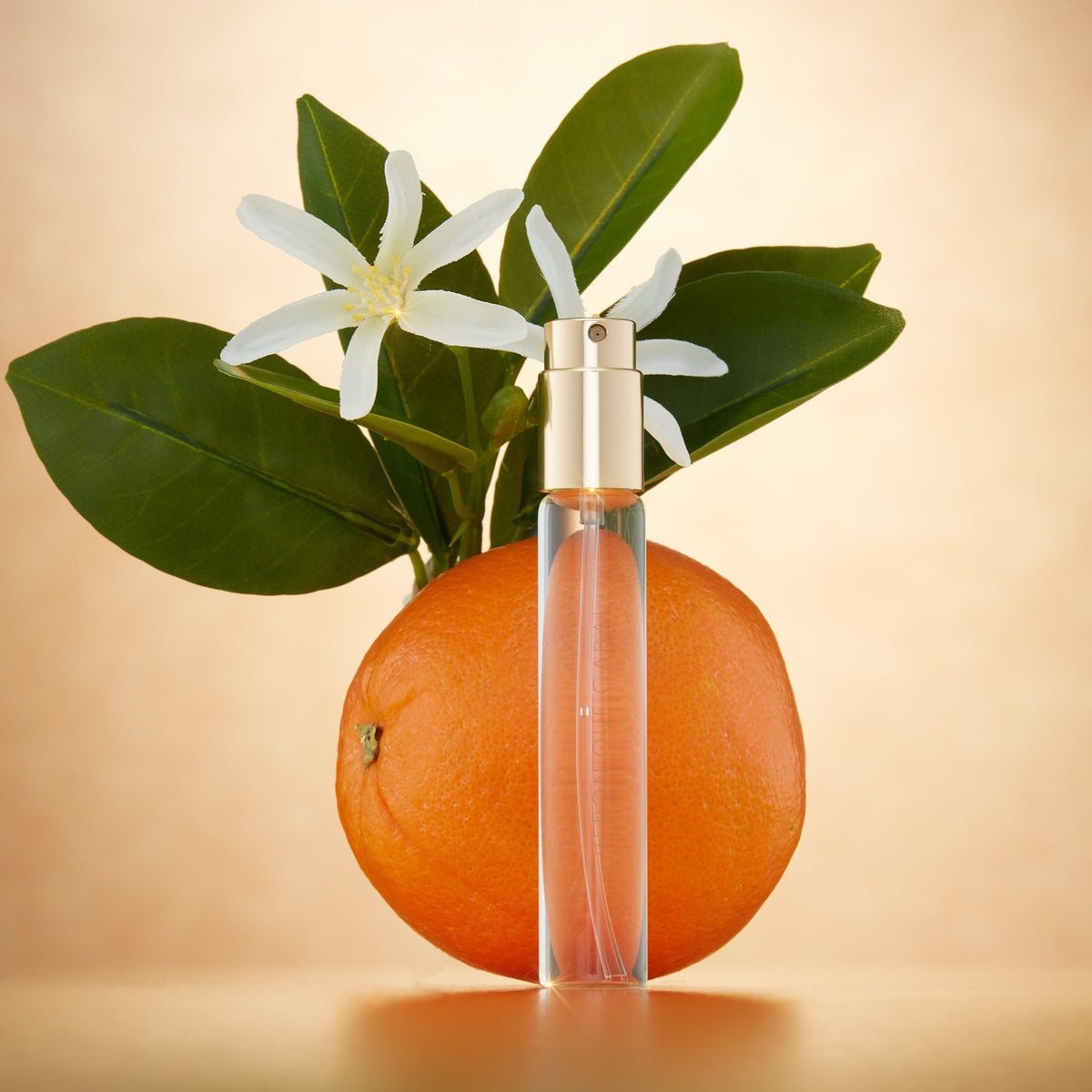 Souvenirs De Tunisie Eau de Parfum - Veronique Gabai