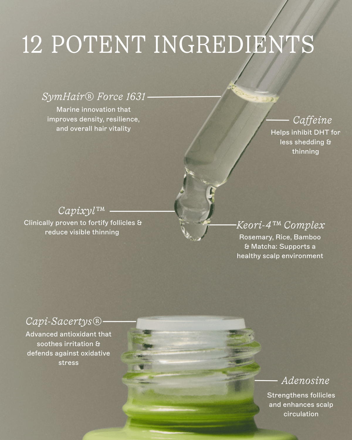 The Bamboo Tonic Hair Density Serum - Base-K