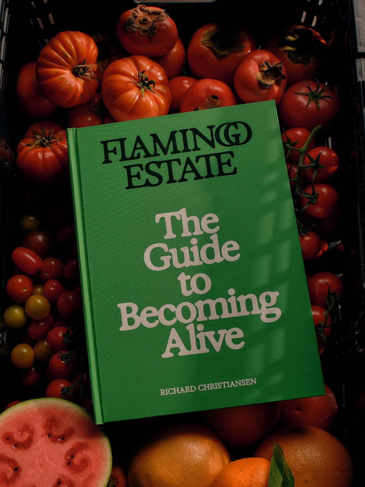 The Guide to Becoming Alive Book - Thirteen LuneFlamingo EstateFLAM-GGC-51032The Guide to Becoming Alive Book