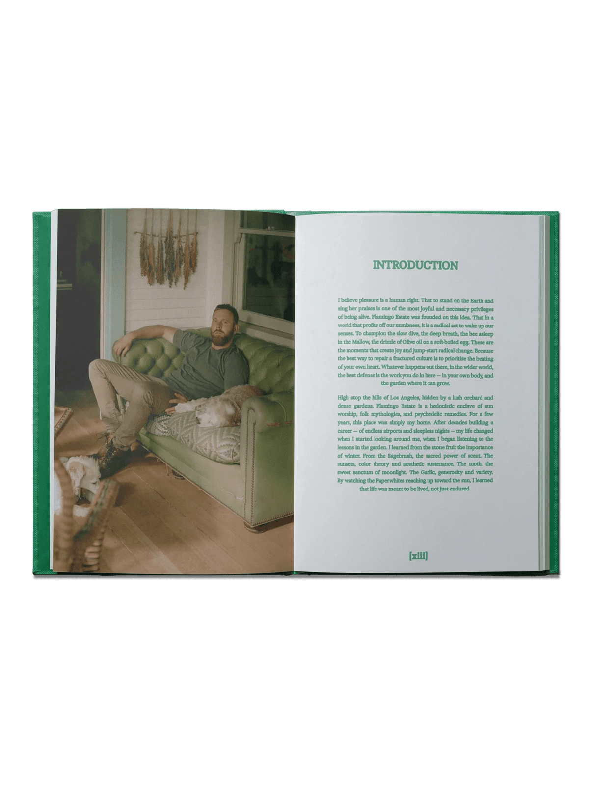 The Guide to Becoming Alive Book - Thirteen LuneFlamingo EstateFLAM-GGC-51032The Guide to Becoming Alive Book